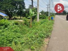  ขายที่ดิน เนื้อที่ 4 ไร่ 2 งาน 89.1 ตร.วา อาจสามารถ นครพนม-202506291347361751179656592.jpg