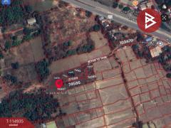  ขายที่ดิน เนื้อที่ 4 ไร่ 2 งาน 89.1 ตร.วา อาจสามารถ นครพนม-202506291347371751179657260.jpg