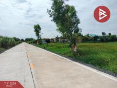 ขายที่ดิน เนื้อที่ 1 ไร่ คลองหลวง ปทุมธานี-202506291359521751180392277.jpg
