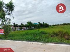 ขายที่ดิน เนื้อที่ 1 ไร่ คลองหลวง ปทุมธานี-202506291359521751180392824.jpg