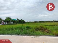 ขายที่ดิน เนื้อที่ 1 ไร่ คลองหลวง ปทุมธานี-202506291359531751180393374.jpg