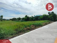 ขายที่ดิน เนื้อที่ 1 ไร่ คลองหลวง ปทุมธานี-202506291359551751180395372.jpg