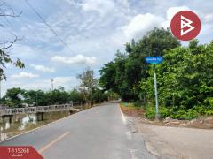 ขายที่ดิน เนื้อที่ 1 ไร่ คลองหลวง ปทุมธานี-202506291359581751180398066.jpg
