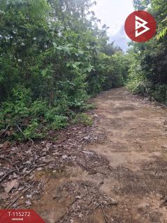 ขายที่ดิน เนื้อที่ 1 ไร่ เทิง เชียงราย-202506291408531751180933444.jpg