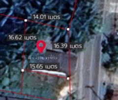 ขายด่วนที่ดิน ขายบ้าน ตำบลมะรุ่ย อำเภอทับปุด จังหวัดพังงา ห้องที่ 1 และ ห้องที่ 2 ราคา ห้องละ 200,000 บาท ห้องที่ 3 (พร้อมบ้าน) ราคา 350,000 บาท โทร 0845377121 -202506291550361751187036167.jpg
