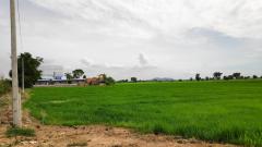 ขายที่ดินชัยนาท แปลงใหญ่ 32 ไร่ 60 ตรว.ติดถนนสายเอเชีย AH1 – ทำเลดีเยี่ยม เหมาะลงทุน เดินทางสะดวก รองรับการขนส่ง-โลจิสติกส์ได้-202506300156321751223392635.jpg