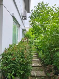 บ้านเดี่ยว หมู่บ้านพฤกษ์ลดา มหาชัย ถนนกิจมณี สมุทรสาคร-202506301049481751255388035.jpg