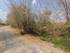 ที่ดินต.หินฮาว อ.หล่มเก่า จ.เพชรบูรณ์-202506301103261751256206338.jpg