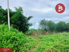 ขายที่ดิน เนื้อที่ 1 ไร่ ต.เลาขวัญ อ.เลาขวัญ  จ.กาญจนบุรี
