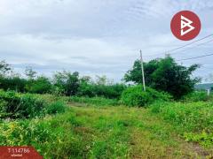 ขายที่ดิน เนื้อที่ 1 ไร่ ต.เลาขวัญ อ.เลาขวัญ  จ.กาญจนบุรี-202506301155431751259343163.jpg