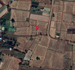 ที่ดินต.สีแก้ว อ.เมืองร้อยเอ็ด จ.ร้อยเอ็ด-202506301325571751264757035.jpg