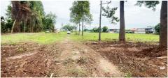 ที่ดินต.ทับกฤช อ.ชุมแสง จ.นครสวรรค์-202506301522351751271755285.jpg