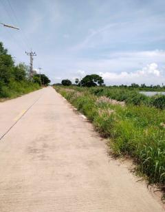 ขายที่บ่อปลา ติดคลอง 9 ไร่ ติดถนน ต.ท่าข้าม อ.พนัสนิคม จ.ชลบุรี