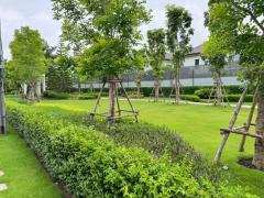 RM353 ให้เช่า บ้านเดี่ยว  THE CITY BANGNA2 - บ้านเดี่ยวหรูสไตล์ English Tudor ใกล้ Mega Bangna เพียง 5 นาที-202506301710161751278216570.jpg