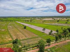 ขายที่ดิน เนื้อที่ 2 ไร่ 2 งาน 45 ตร.วา ฆ้องชัย กาฬสินธุ์