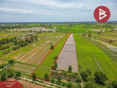 ขายที่ดิน เนื้อที่ 2 ไร่ 2 งาน 45 ตร.วา ฆ้องชัย กาฬสินธุ์-202506301745371751280337180.jpg