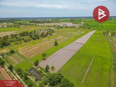 ขายที่ดิน เนื้อที่ 2 ไร่ 2 งาน 45 ตร.วา ฆ้องชัย กาฬสินธุ์-202506301745381751280338271.jpg