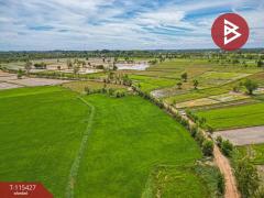 ขายที่ดิน เนื้อที่ 2 ไร่ 2 งาน 45 ตร.วา ฆ้องชัย กาฬสินธุ์-202506301745391751280339210.jpg