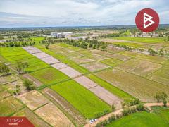 ขายที่ดิน เนื้อที่ 2 ไร่ 2 งาน 45 ตร.วา ฆ้องชัย กาฬสินธุ์-202506301745411751280341218.jpg