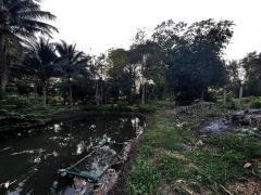 ขาย บ้านสวน บรรยากาศดี จังหวัดลพบุรี-202506302208301751296110282.jpg