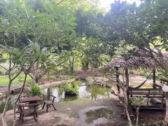 ขาย บ้านสวน บรรยากาศดี จังหวัดลพบุรี-202506302208381751296118586.jpg