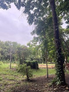 ขาย บ้านสวน บรรยากาศดี จังหวัดลพบุรี-202506302208411751296121420.jpg