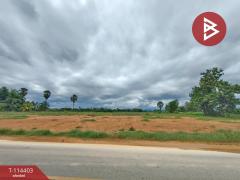 ขายที่ดิน เนื้อที่ 2 ไร่ 80 ตร.วา หาดกรวด อุตรดิตถ์-202507010950051751338205568.jpg