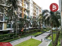 ขายคอนโด โครงการไอคอนโด สุขุมวิท105 (Icondo Sukhumvit105) กรุงเทพมหานคร-202507011041091751341269612.jpg