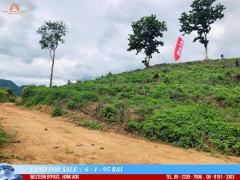 ขายที่ดินสวยเนินดอย พื้นที่ 6-1-95 ไร่ วิวภูเขา 360° ติดถนนบายพาสตะวันออก ฮ่องฮ้อ อ.เมืองเชียงราย-202507011041571751341317868.jpg
