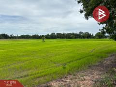 ขายที่ดิน เนื้อที่ 7 ไร่ 66 ตร.วา หนองฉาง อุทัยธานี