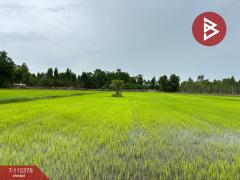 ขายที่ดิน เนื้อที่ 7 ไร่ 66 ตร.วา หนองฉาง อุทัยธานี-202507011127111751344031482.jpg
