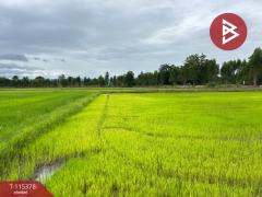 ขายที่ดิน เนื้อที่ 7 ไร่ 66 ตร.วา หนองฉาง อุทัยธานี-202507011127121751344032042.jpg