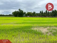 ขายที่ดิน เนื้อที่ 7 ไร่ 66 ตร.วา หนองฉาง อุทัยธานี-202507011127131751344033009.jpg