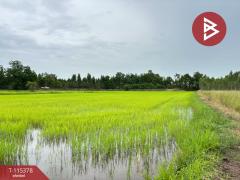 ขายที่ดิน เนื้อที่ 7 ไร่ 66 ตร.วา หนองฉาง อุทัยธานี-202507011127131751344033590.jpg