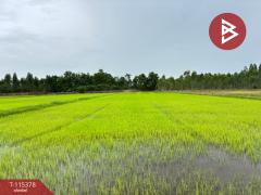 ขายที่ดิน เนื้อที่ 7 ไร่ 66 ตร.วา หนองฉาง อุทัยธานี-202507011127141751344034138.jpg
