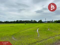 ขายที่ดิน เนื้อที่ 7 ไร่ 66 ตร.วา หนองฉาง อุทัยธานี-202507011127141751344034710.jpg