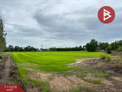 ขายที่ดิน เนื้อที่ 7 ไร่ 66 ตร.วา หนองฉาง อุทัยธานี-202507011127151751344035289.jpg