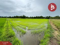 ขายที่ดิน เนื้อที่ 7 ไร่ 66 ตร.วา หนองฉาง อุทัยธานี-202507011127151751344035897.jpg
