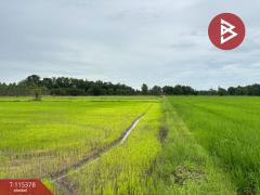 ขายที่ดิน เนื้อที่ 7 ไร่ 66 ตร.วา หนองฉาง อุทัยธานี-202507011127171751344037018.jpg