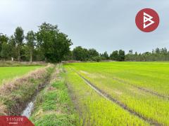 ขายที่ดิน เนื้อที่ 7 ไร่ 66 ตร.วา หนองฉาง อุทัยธานี-202507011127171751344037615.jpg