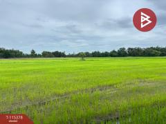 ขายที่ดิน เนื้อที่ 7 ไร่ 66 ตร.วา หนองฉาง อุทัยธานี-202507011127181751344038177.jpg