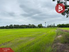 ขายที่ดิน เนื้อที่ 7 ไร่ 66 ตร.วา หนองฉาง อุทัยธานี-202507011127181751344038732.jpg