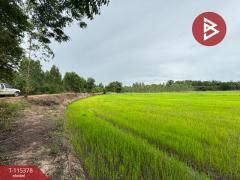 ขายที่ดิน เนื้อที่ 7 ไร่ 66 ตร.วา หนองฉาง อุทัยธานี-202507011127191751344039295.jpg