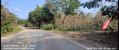 ขายที่ดินสวยพร้อมโฉนด พื้นที่ 50-0-88 ไร่ บรรยากาศธรรมชาติ วิวภูเขา ติดป่าสงวนแม่ข้าวต้ม-ห้วยลึก ต.แม่จัน เชียงราย-202507011144341751345074932.jpg