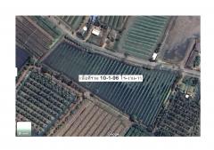 ขายที่ดินเปล่า แปลงสวยมาก ราคาสุดคุ้ม