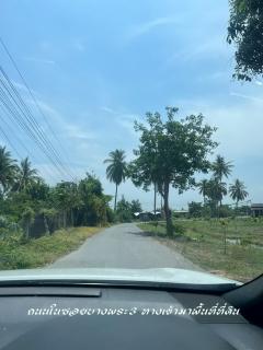 ขายที่ดินเปล่า แปลงสวยมาก ราคาสุดคุ้ม-202507011307001751350020338.jpg