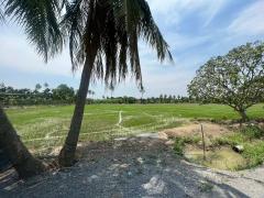 ขายที่ดินเปล่า แปลงสวยมาก ราคาสุดคุ้ม-202507011307011751350021480.jpg