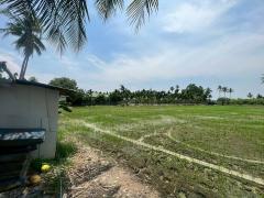 ขายที่ดินเปล่า แปลงสวยมาก ราคาสุดคุ้ม-202507011307021751350022116.jpg