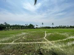 ขายที่ดินเปล่า แปลงสวยมาก ราคาสุดคุ้ม-202507011307021751350022650.jpg