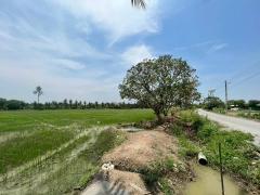 ขายที่ดินเปล่า แปลงสวยมาก ราคาสุดคุ้ม-202507011307031751350023177.jpg